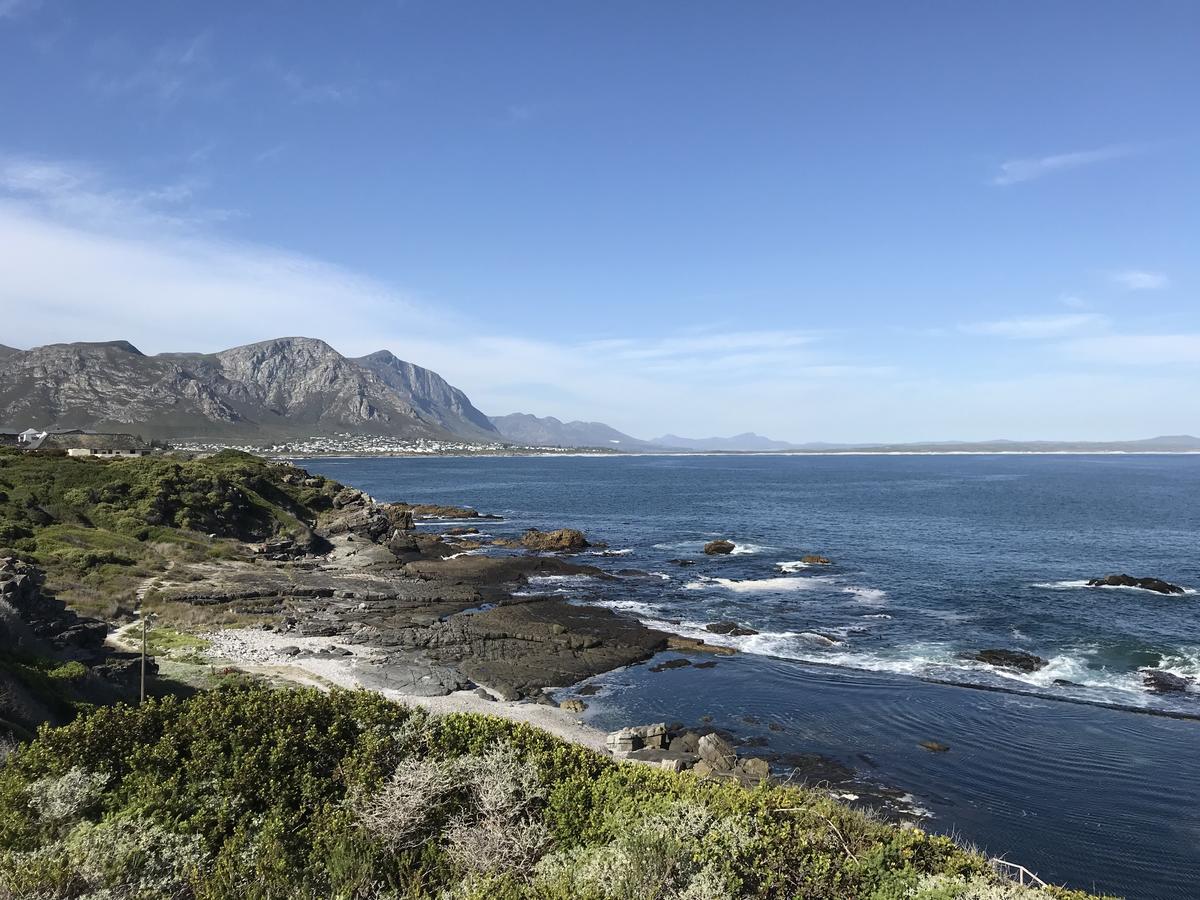 Francolin Manor Bed & Breakfast Hermanus Exterior photo