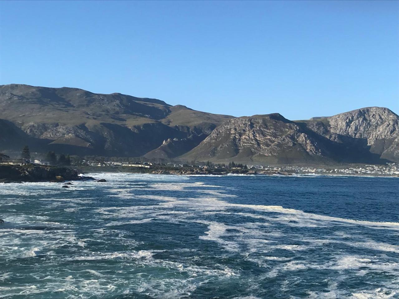 Francolin Manor Bed & Breakfast Hermanus Exterior photo