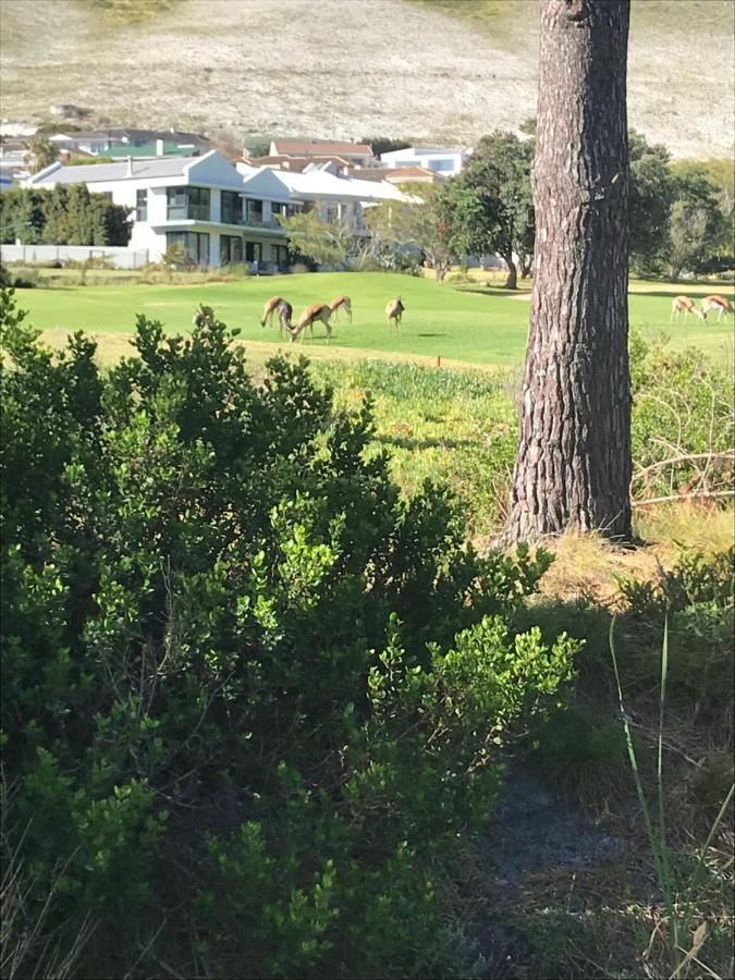 Francolin Manor Bed & Breakfast Hermanus Exterior photo